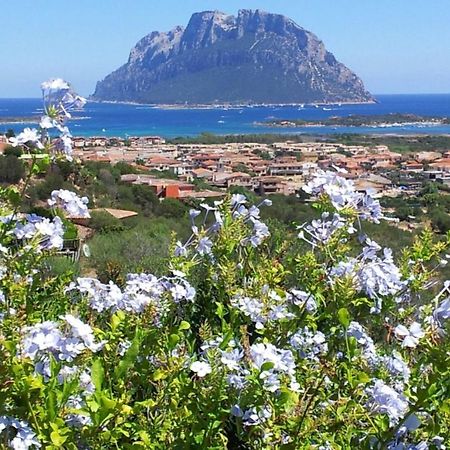 Le Case Del Mare Porto San Paolo  Bagian luar foto