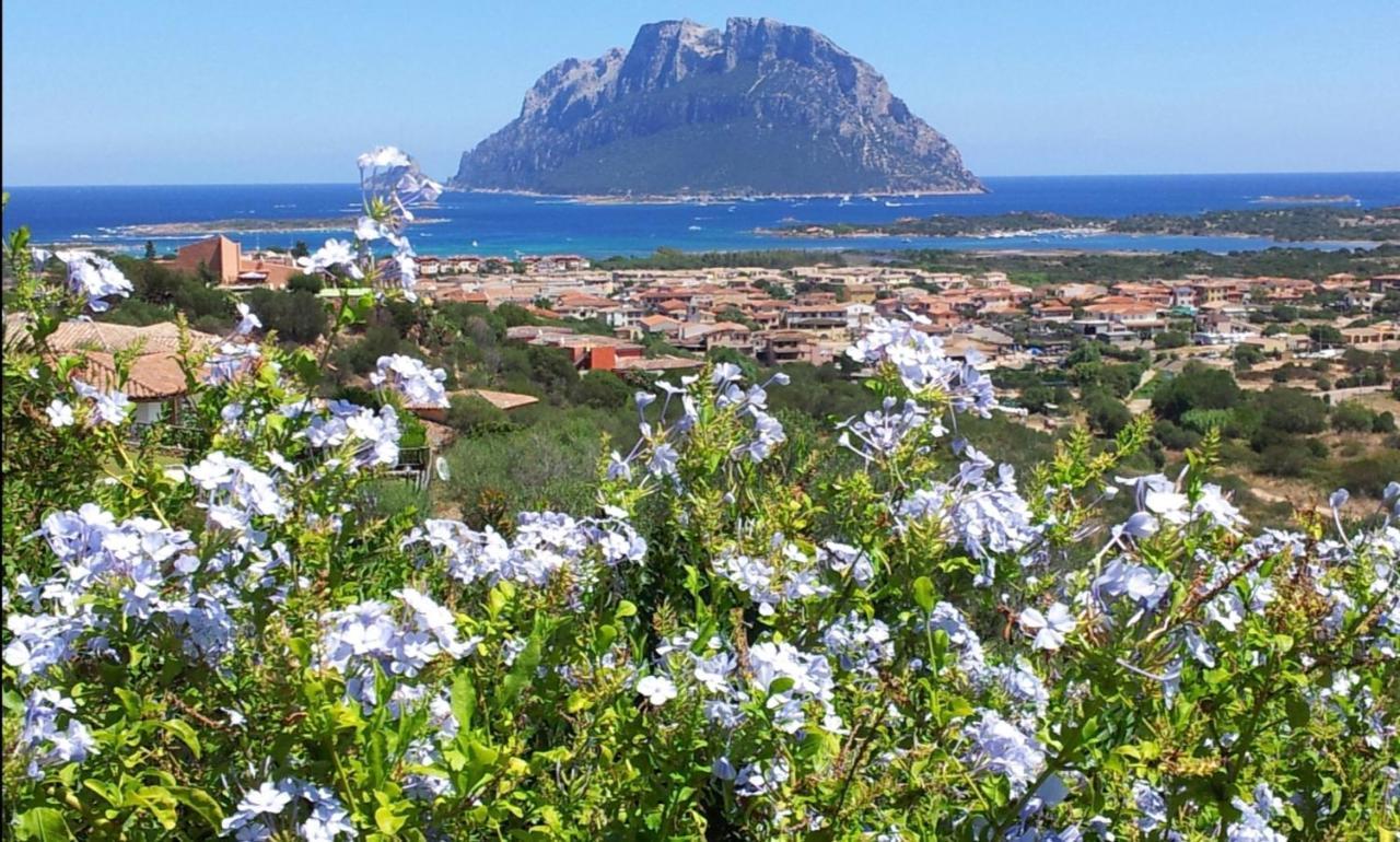 Le Case Del Mare Porto San Paolo  Bagian luar foto