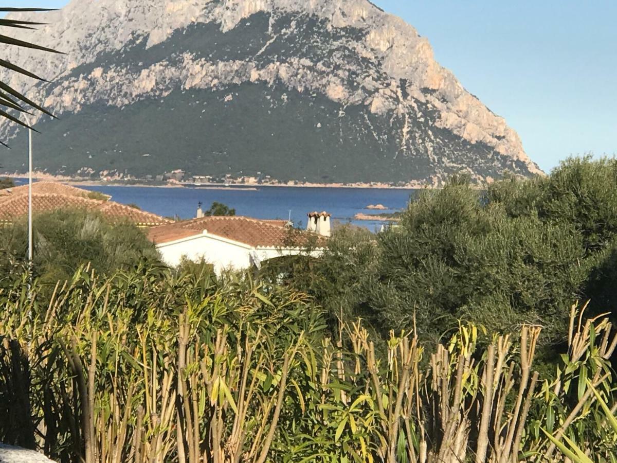 Le Case Del Mare Porto San Paolo  Bagian luar foto