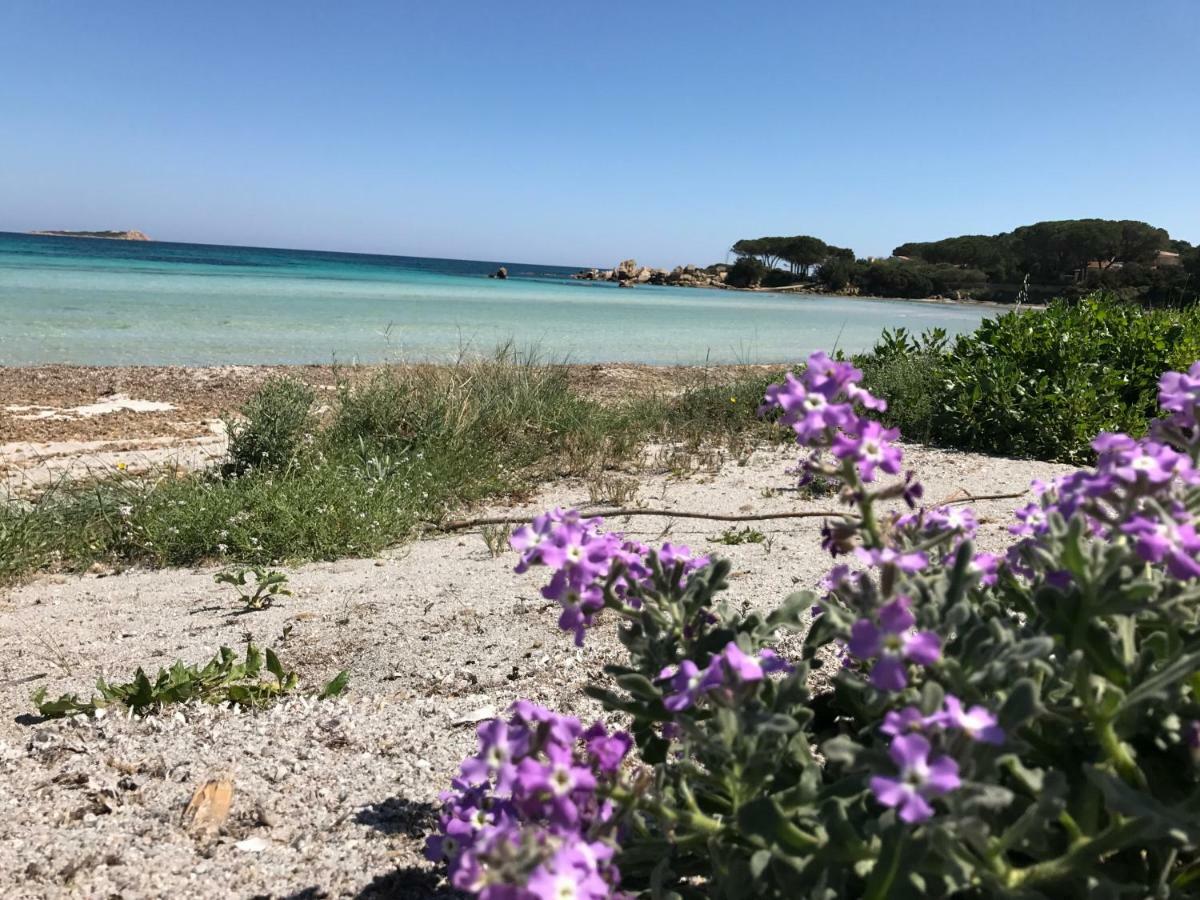 Le Case Del Mare Porto San Paolo  Bagian luar foto